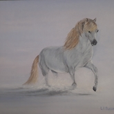 Snow Horse - Linda Budde_Artist - Gansbaai