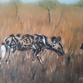 African Wild Dog - Linda Budde_Artist - Gansbaai