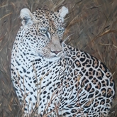 Ingwe - Linda Budde_Artist - Gansbaai