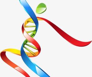 Employee Wellness Introduction Breakfast - 10 March 2020