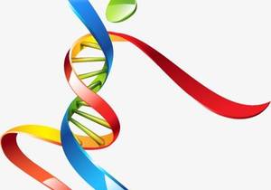 Resilience training as part of leadership development - 18 March 2020