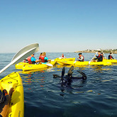 Sea Kayaking - Walker Bay Adventures - Hermanus