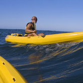 Sea Kayaking - Walker Bay Adventures - Hermanus