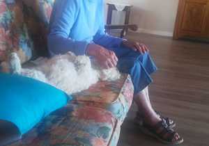 Pets Make Great Companions