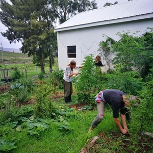 84551573_1062177580807009_2116884033240563712_n_1582187240