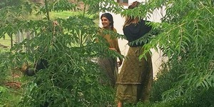 84693498_1062177644140336_3188299110247563264_n_1582187241