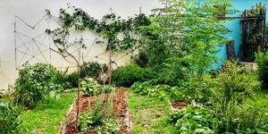 85221669_1062177704140330_198104833952055296_n_1582187242