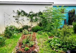 Community Garden Day!