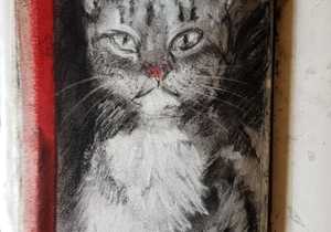 Cat Charcoal Sketches