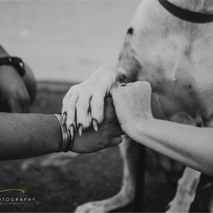 Engagement shoot in Gansbaai Harbor by Captured Photography