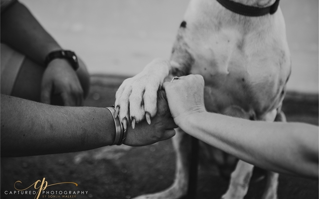 Engagement shoot in Gansbaai Harbor by Captured Photography