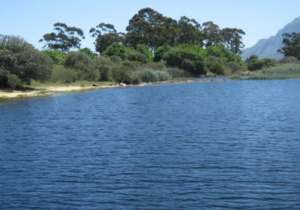 Stanford & Surrounds