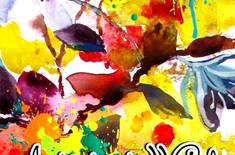 23905497_10213521239379196_1066964647085286677_n_1582707049