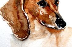 24909684_10213645716371043_5304966391850129731_n_1582707198