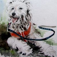 Pets in Watercolour