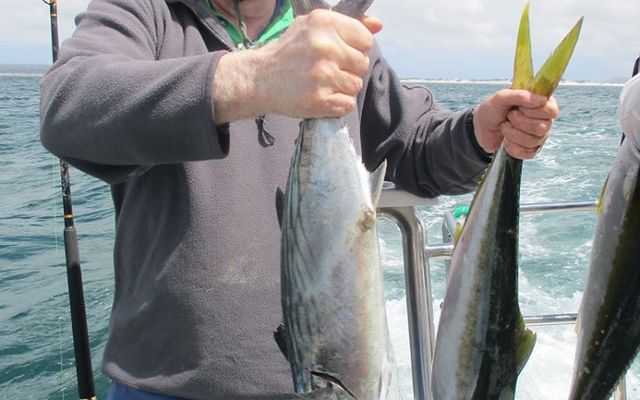 87715626_3127660107267464_5386246051290152960_o_1582880169