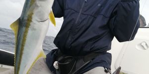 87884604_3127660770600731_3164123486662688768_o_1582880171