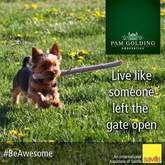 Live like someone left the gate open - Pam Golding Properties Gansbaai - Xplorioâ„¢ Gansbaai