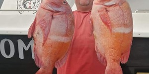 88144284_3141390909227717_5148462518456287232_n_1583404881