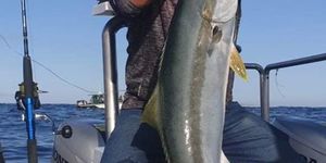 88228542_3141390839227724_2301293711134294016_o_1583404881