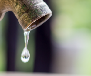 This new certificate will be mandatory when selling your home