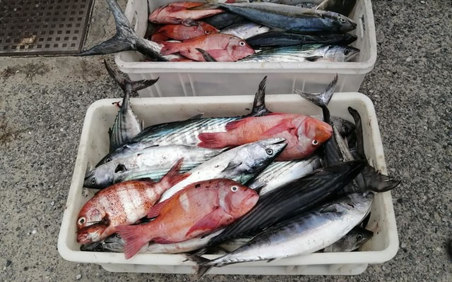 88236360_3142600742440067_5158837630435065856_n_1583492867