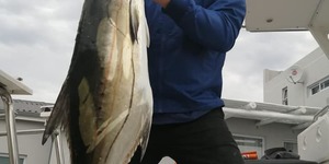 88321453_3142600079106800_4849189360479764480_n_1583492865