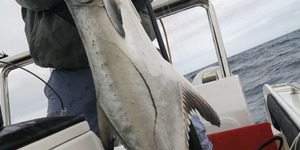 88429754_3142599992440142_7933842534688620544_n_1583492865