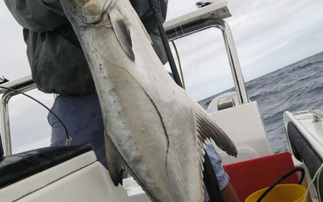 88429754_3142599992440142_7933842534688620544_n_1583492865