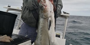 89414016_3142600162440125_8026867274302357504_n_1583492866