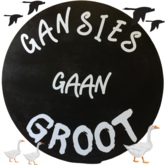 Kleine Gansies Concert Decor - M + S Designs - Gansbaai