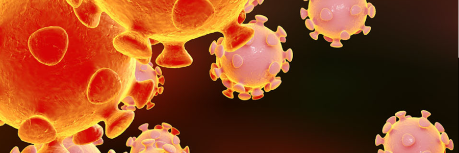 Covid19_banner_1584452213