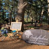 Stanford MTB Classic - Beloftebos Trails and Adventures - Stanford