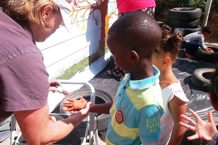 pikkew_listing_1584604979