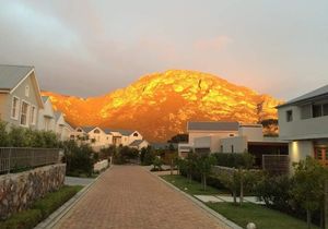 Immune Support and Stress Management Tip