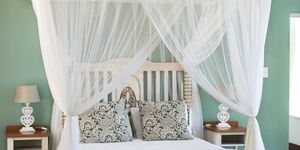 51136504_2645848598775608_3703349303461281792_o_1585121774