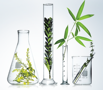 Immune Support and Stress Management Tip #3