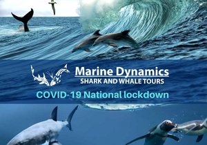 Call for Future Bookings or Marketing Enquiries