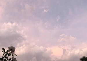 Immune Support and Stress Management Tip #11