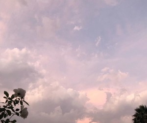 Immune Support and Stress Management Tip #11