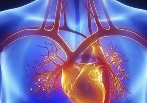 Immune Support and Stress Management Tip #14