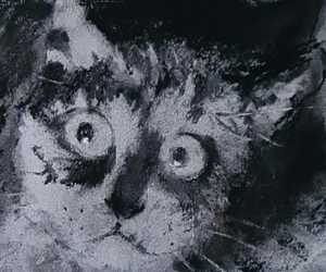 Online Charcoal and Pastel Course