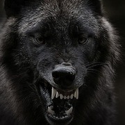 Facebook Live Talk: Power Generation