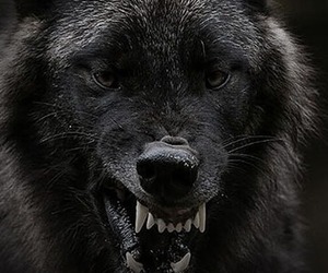 Facebook Live Talk: Corona Conspiracies