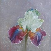 Irisis - Linda Budde_Artist - Xplorioâ„¢ Gansbaai