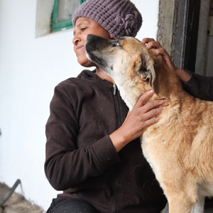 Katriena van der Westhuizen and Bullet - Stanford Pet Feeding Project: Please Help