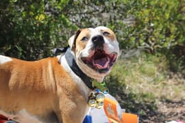 Stand Up For a KAWS You Believe In