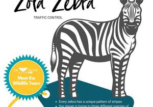COLOUR IN & SHARE -Â Zola Zebra