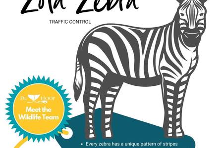 94553793_10157777347506677_6188910915618865152_o_1588162715