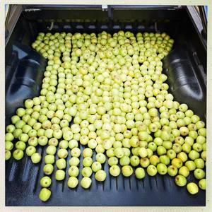 92824142_2978358262209789_3839725789398433792_n_1588169831